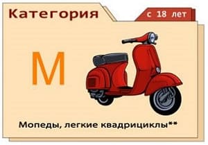 Категория М - мопеды, легкие квадроциклы