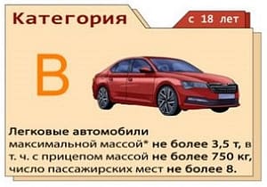 Категория В - легковые авто и грузовые машины небольших размеров