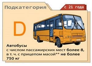 Категория D - пассажирские автобусы